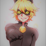 cat noir